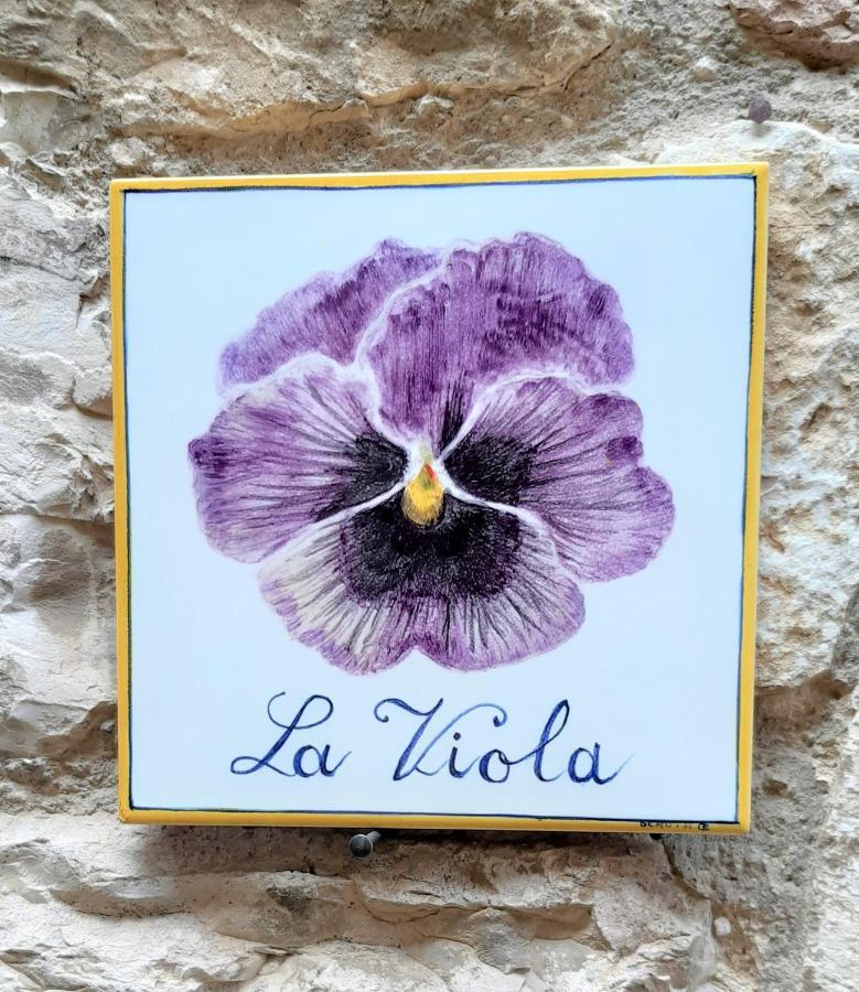 La Viola Di Assisi Hotel Exterior photo