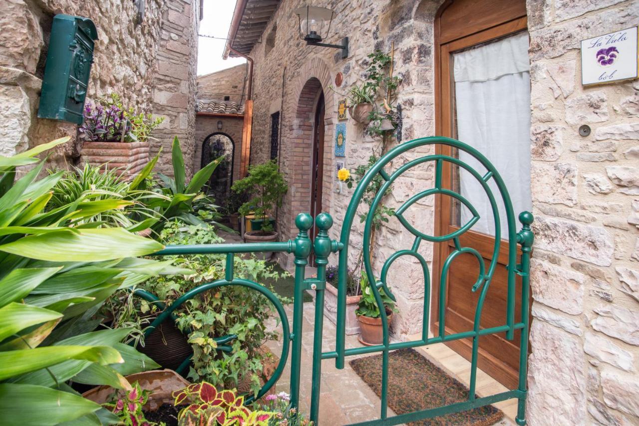 La Viola Di Assisi Hotel Exterior photo