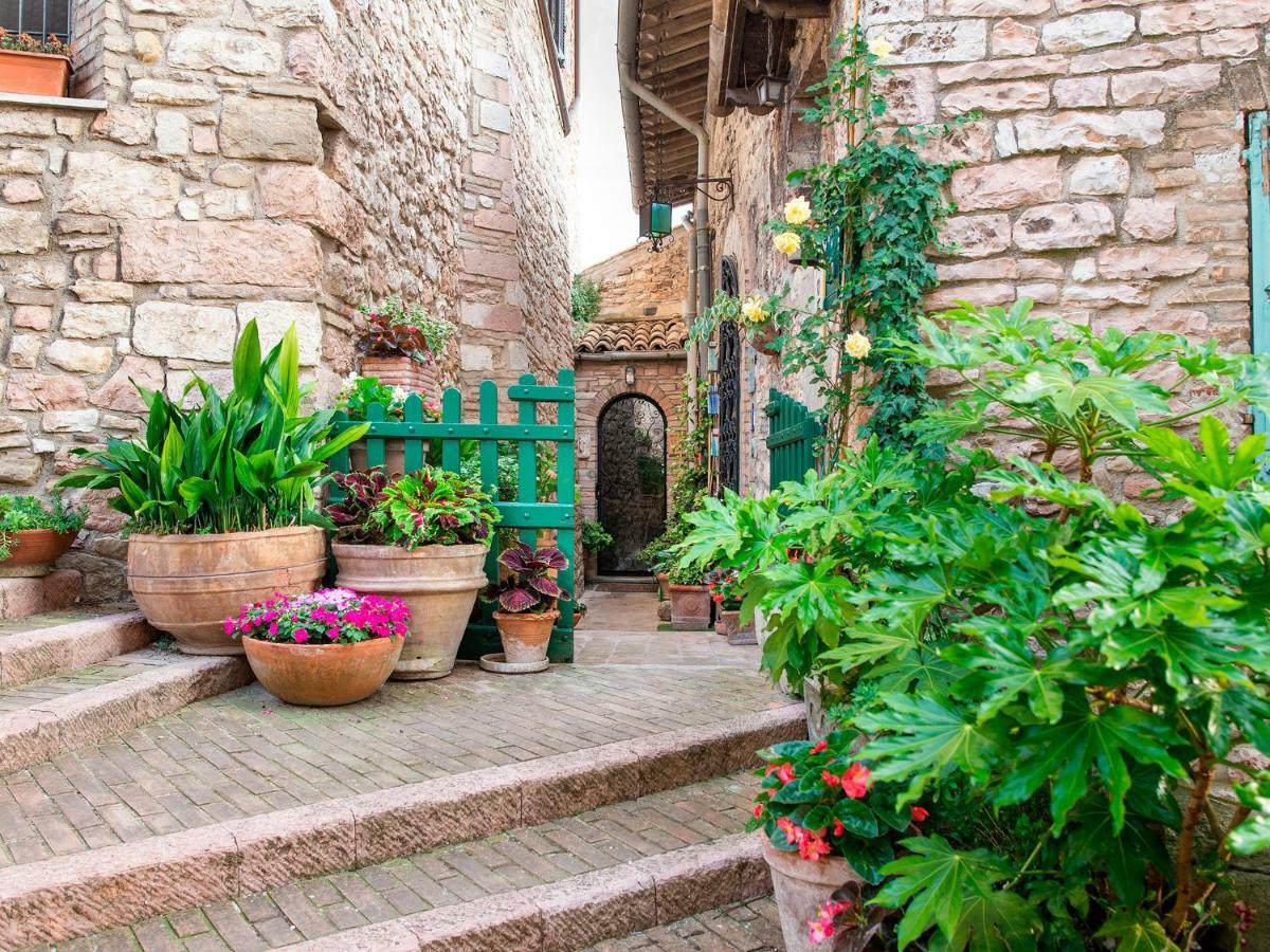 La Viola Di Assisi Hotel Exterior photo